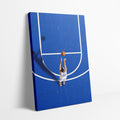 Curry Aerial Canvas