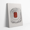 Michael Jordan x Chicago Canvas