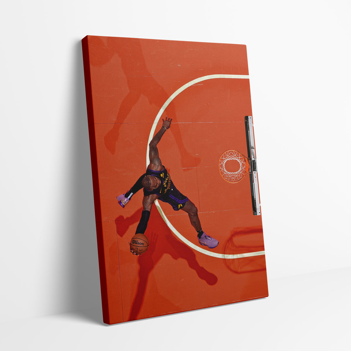 Lebron Aerial Canvas