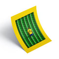 LEGEND Ronaldo x Brazil Print