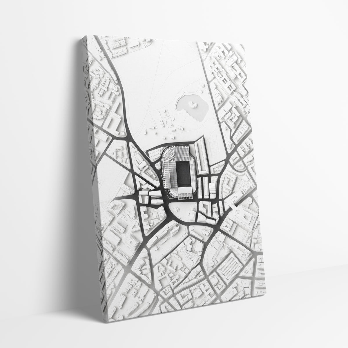 St James Park Aerial Canvas