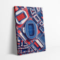 Parc des Princes Canvas