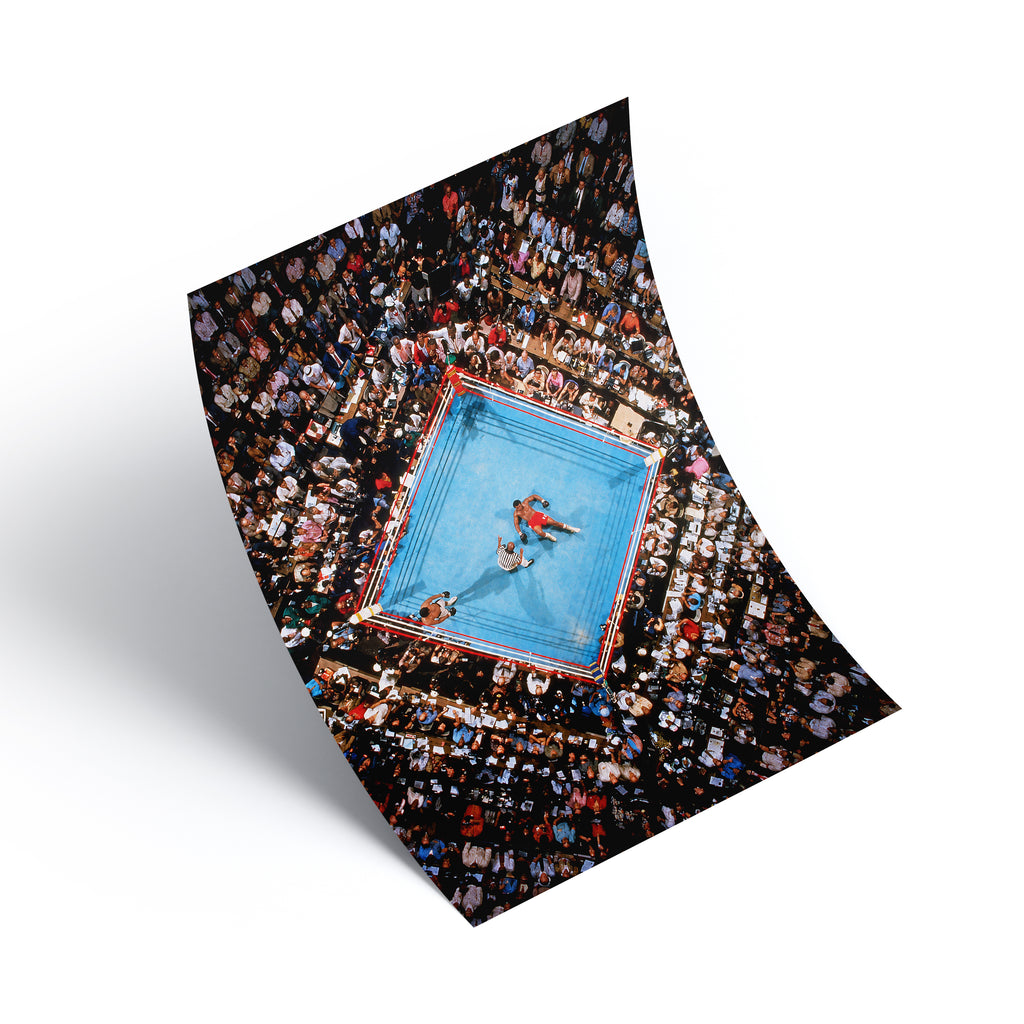 Rumble in the Jungle Print