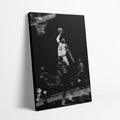 Lebron Elevate Canvas