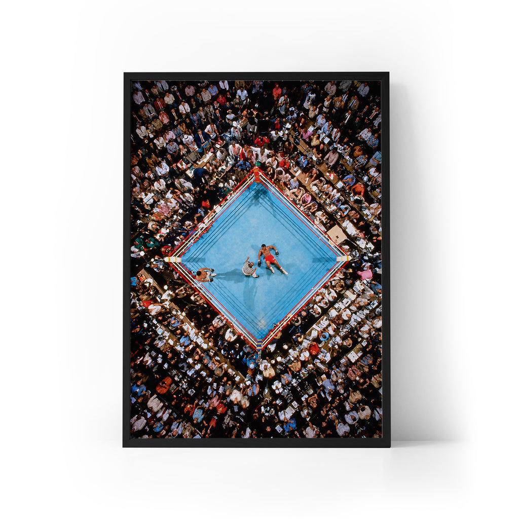 Rumble in the Jungle Framed Print