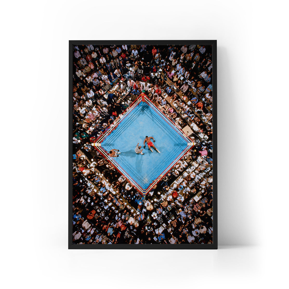 Rumble in the Jungle Framed Print