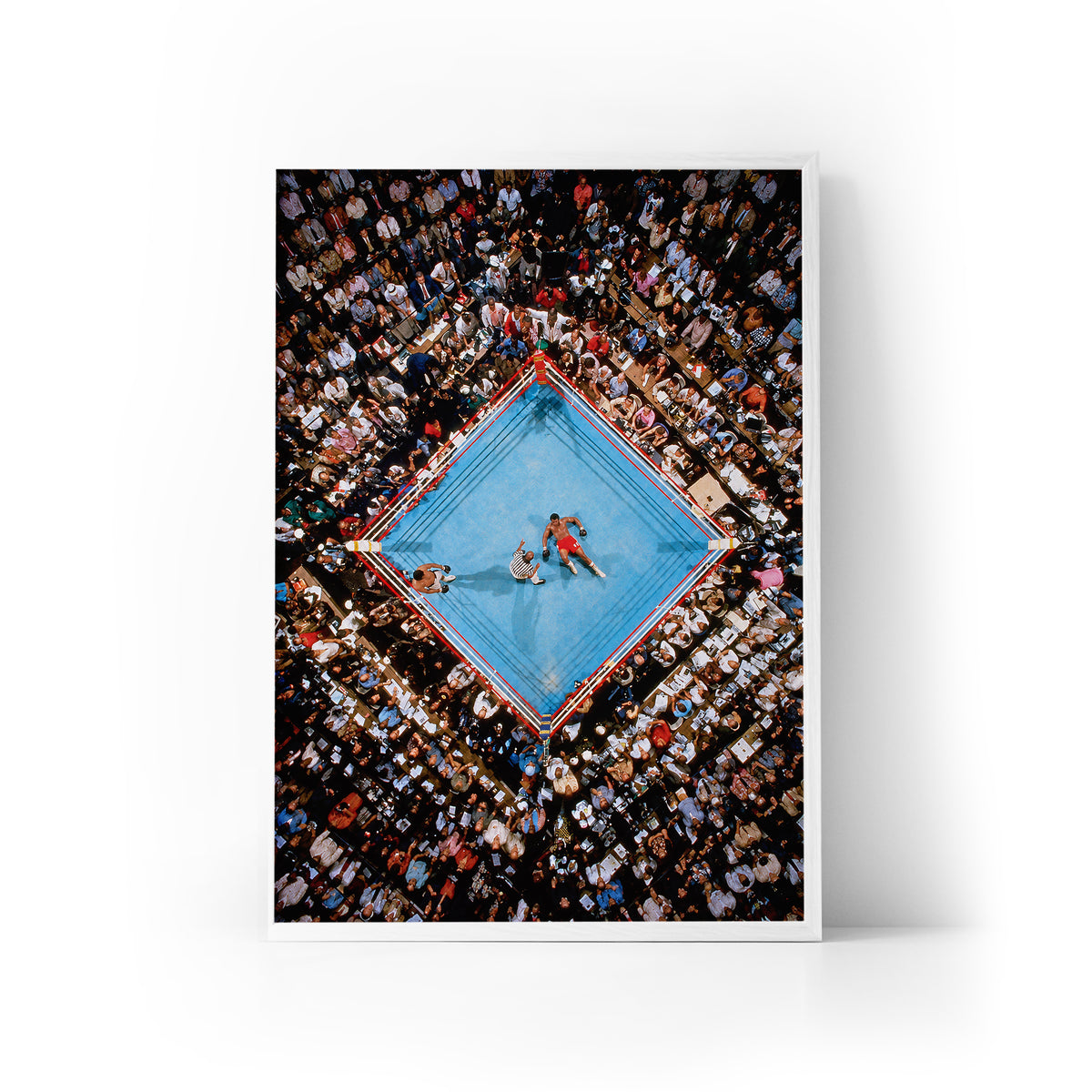 Rumble in the Jungle Framed Print