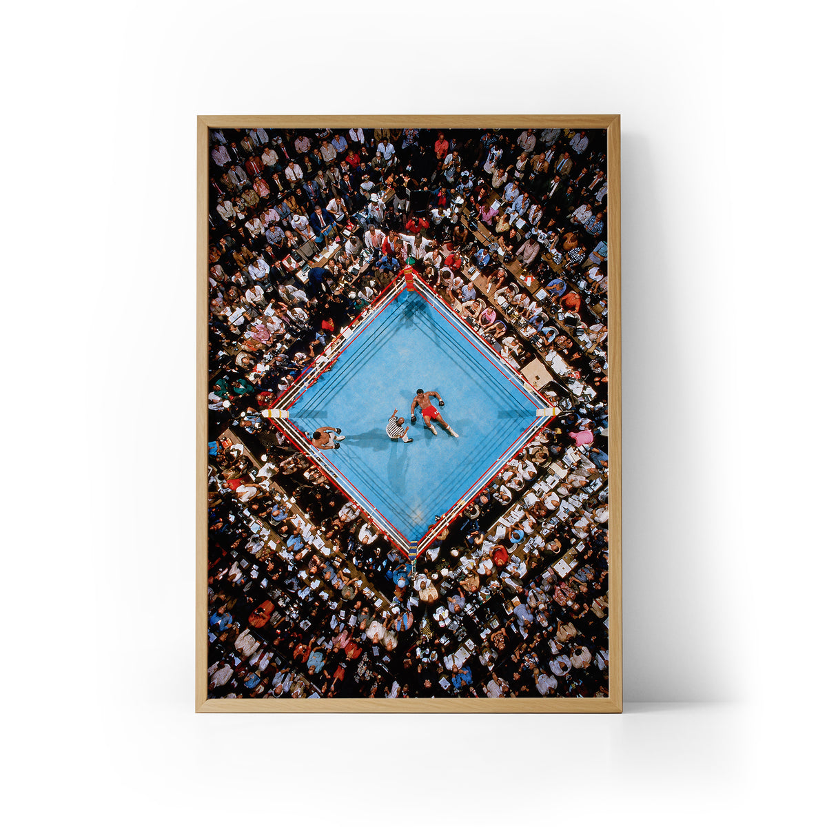 Rumble in the Jungle Framed Print