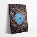 Rumble in the Jungle Canvas