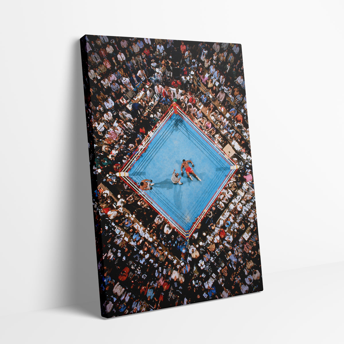 Rumble in the Jungle Canvas
